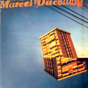 Buscando luz de topos