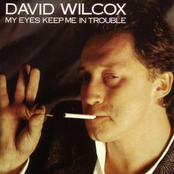 I See You by David Wilcox