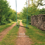 Waltzing For Weasels by Felix