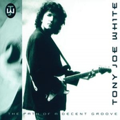 The Path Of A Decent Groove by Tony Joe White