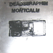 Deadseraphim / Montcalm Split