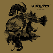 The Invisible Mountain