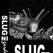 Great Grey Clamor Torsion Inter