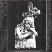 Stillborn Resurrection