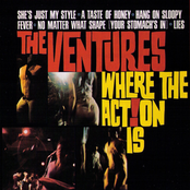 Nutty by The Ventures