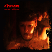 Melnas Vārnas Sasēdušas Kokos by Apēdājs