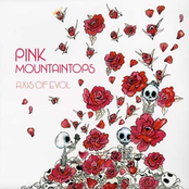 Pink Mountaintops: Axis Of Evol