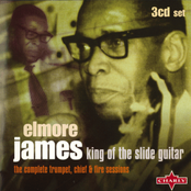 I May Be Wrong by Elmore James