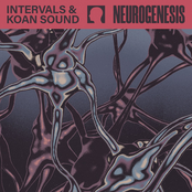 neurogenesis