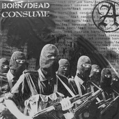 Born/dead / Consume - Split