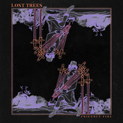 Lost Trees: Friendly Fire