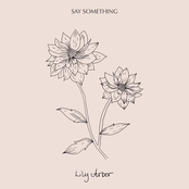 Say Something