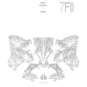 Water Falls Into A Blank