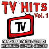 TV Hits Vol. 1