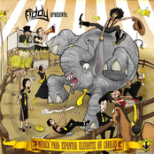 Música para Espantar Elefantes ou Cavalos