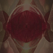 Recollections Become Phantoms