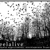 eternamente expectante eternamente frustrados