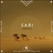 Sari