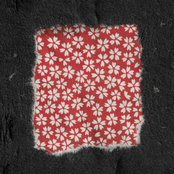 Developing Rabbitlike Tendencies