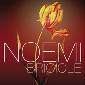 Briciole by Noemi