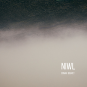 Niwl