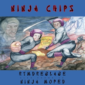 ninja chips