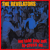 Come Back Baby by The Revelators
