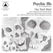 One More Time by Psychic Ills