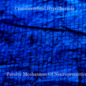 Passive Mechanism Of Neuroprotection
