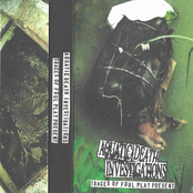 Traces of Foul Play Present