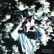 Love On Ice by Momus