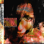 Another Smash in a Lifetime Loss