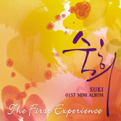 The First Experience