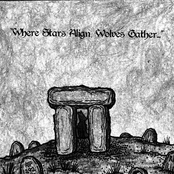 Where Stars Align, Wolves Gather...