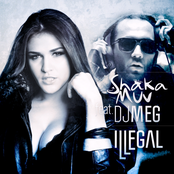 Illegal (feat. DJ M.E.G.)
