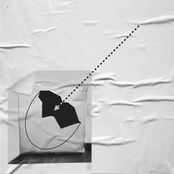 The innermost surfaces in eggshells