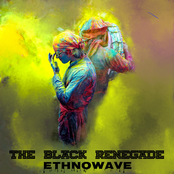 Ethnowave