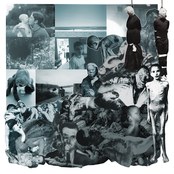 Rudiments Of Mutilation