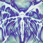 Ataraxia 19.13.8.1.19