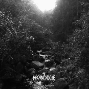 Petrichor in Dysthymia