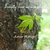 Beauty lies in simplicity
