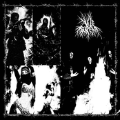 Bastards Of Doctrine