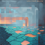 Polyrhythmics: Life from Below