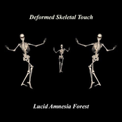 Lucid Amnesia Forest