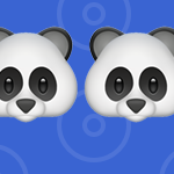 🐼🐼🐼🐼