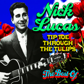 My Bundle Of Love by Nick Lucas