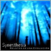 Synesthesia: Relatos De Una Evolución