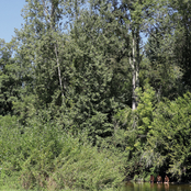 Où les observer, savoir les reconnaître