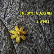 Two Weeks