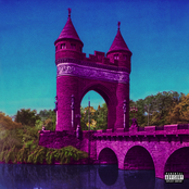 Dom McLennon: The Changing of the Trees